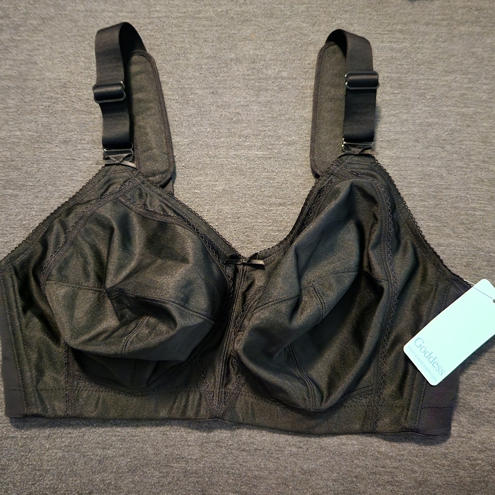NWT Goddess Audrey Bra